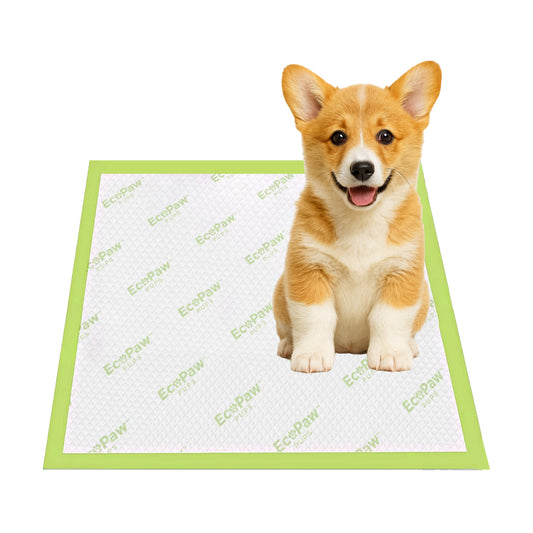 USDA Certified Biobased Pet Training Pads